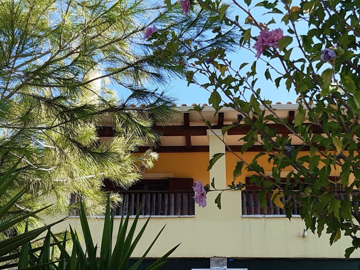 Andri House Daire Marathiás Dış mekan fotoğraf