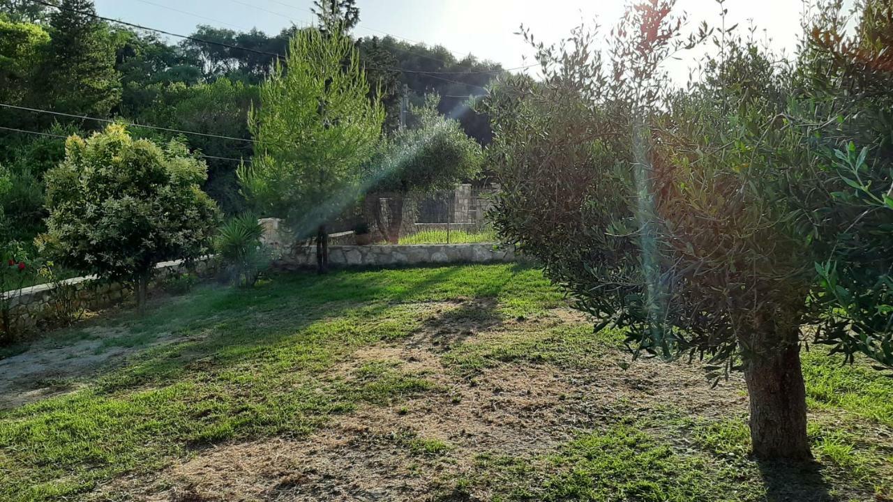 Andri House Daire Marathiás Dış mekan fotoğraf