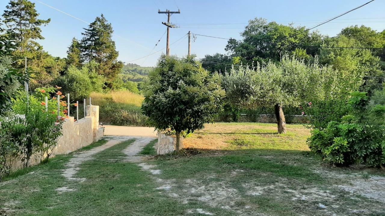 Andri House Daire Marathiás Dış mekan fotoğraf